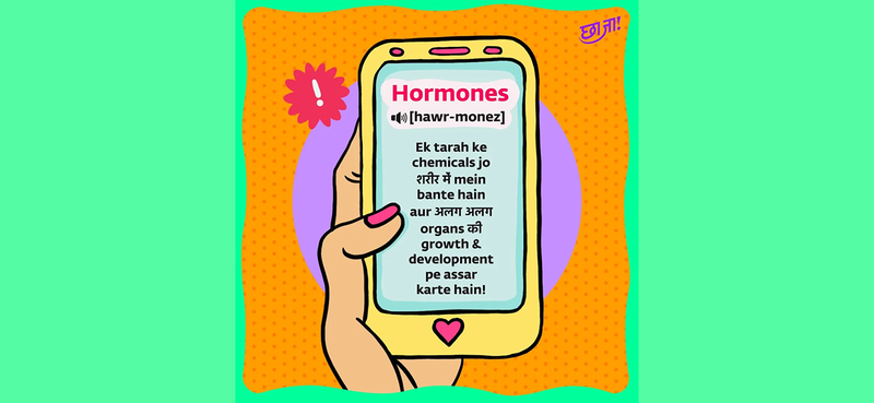 hormones
